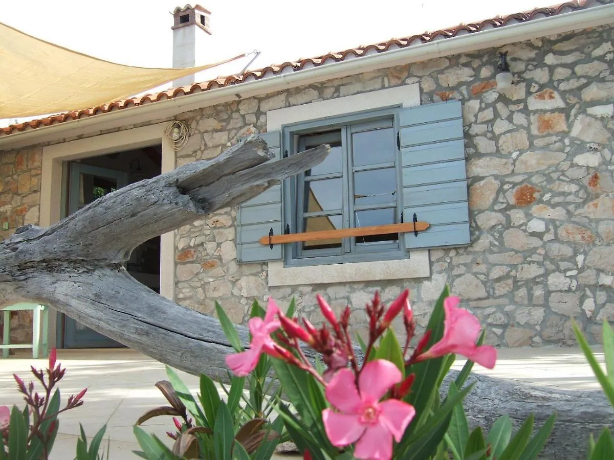 House Lemon Tree Villa Pasman Croatia