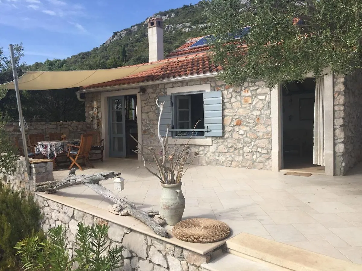 Holiday home House Lemon Tree Villa Pasman Croatia